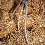 Mykonos Ag In * Fteliá