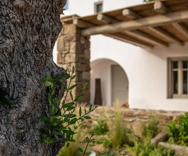 Mykonos Ag In Villa *