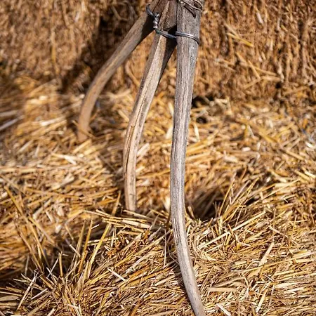 Mykonos Ag In * Ftelia (Mykonos)