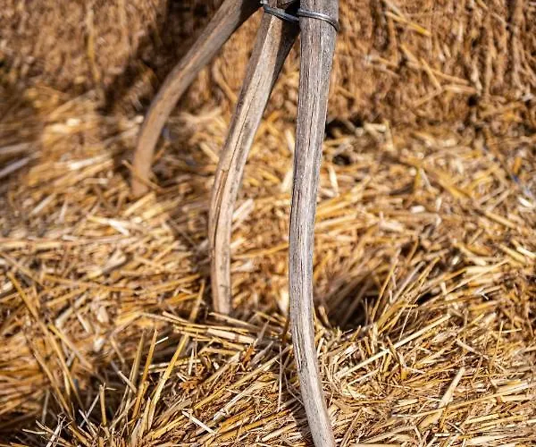 Mykonos Ag In * 法蒂亚