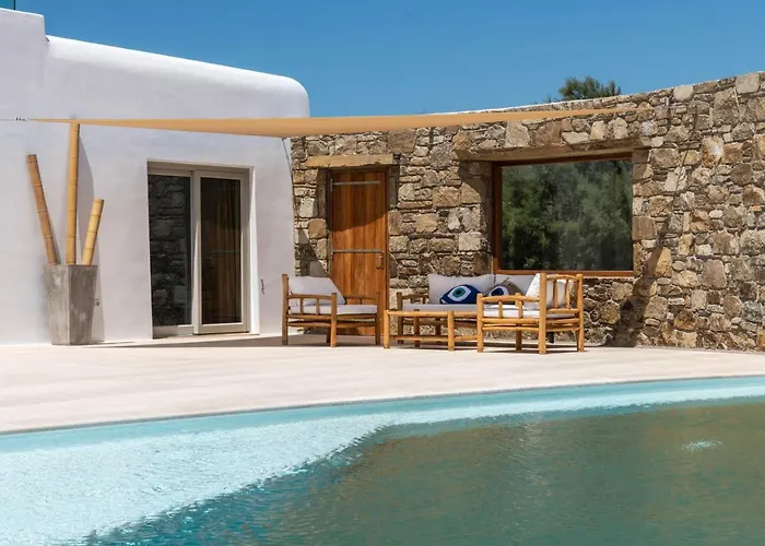 Mykonos Ag In 别墅 *